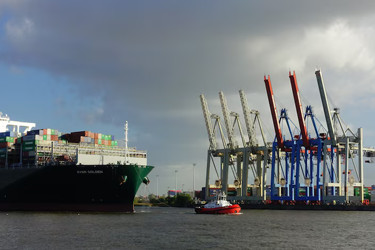 Sea Freight Options for Afghan Businesses: A Look at Industry Leaders